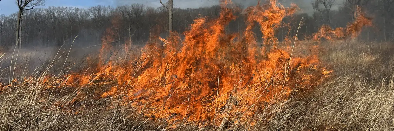 Prescribed burn managing native prairie as part of an ecological restoration plan
